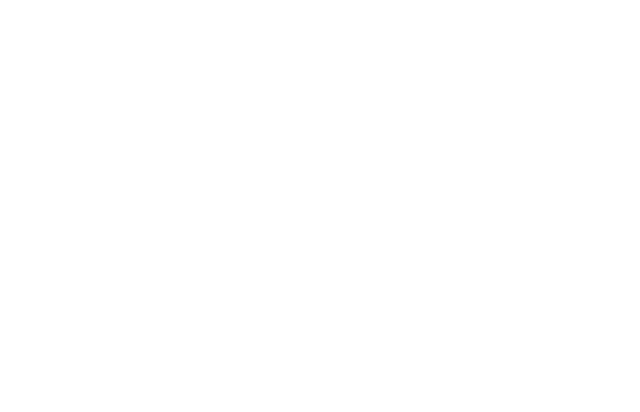 Majevio Motors
